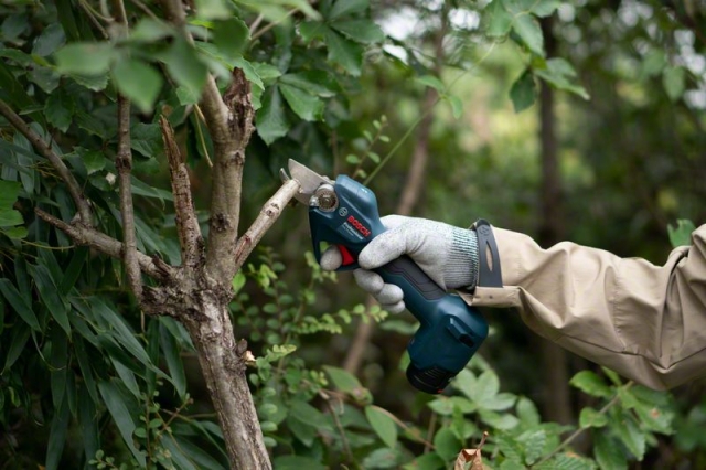    Pro Pruner