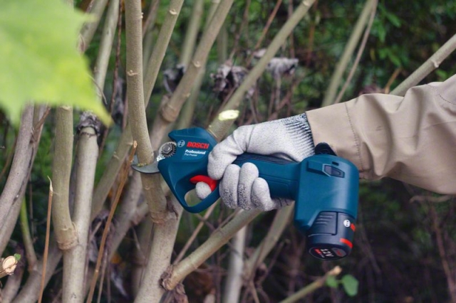    Pro Pruner